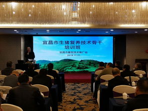 科技賦能，精準(zhǔn)施策——市畜牧技術(shù)推廣站舉辦專題培訓(xùn)班，全力助推生豬復(fù)產(chǎn)保供給